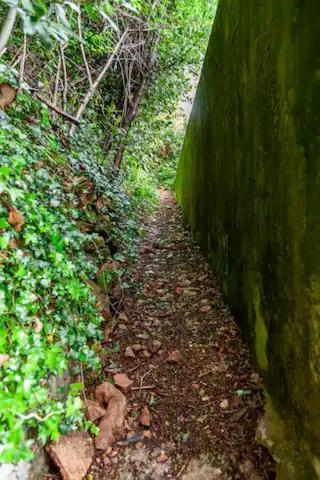 Rifugio Sul Lago Di Lugano A Порто-Черезио Экстерьер фото
